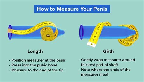 dick pis|Shown Actual Size: A Penis Shape & Size Lowdown